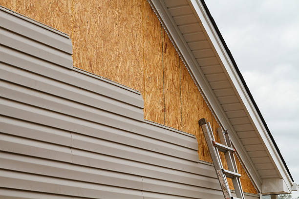 Professional Siding Inspection technician working in Marion Center, MA